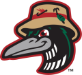 Great Lakes Loons 2016-Pres Alternate Logo 6 decal sticker