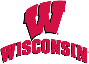 Wisconsin Badgers 2002-Pres Alternate Logo 02 Sticker Heat Transfer