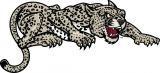 Lafayette Leopards 2000-Pres Partial Logo Sticker Heat Transfer