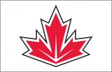World Cup of Hockey 2016-2017 Jersey 10 Logo Sticker Heat Transfer