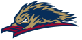 Scranton_Wilkes-Barre RailRiders 2013-Pres Alternate Logo 2 decal sticker