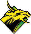 South Florida Bulls 1997-2002 Primary Logo decal sticker