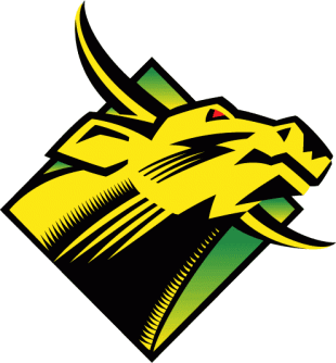 South Florida Bulls 1997-2002 Primary Logo Sticker Heat Transfer