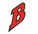 Buffalo Bisons 1998-2003 Cap Logo decal sticker