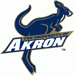 Akron Zips 2002-2007 Alternate Logo Sticker Heat Transfer