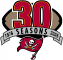 Tampa Bay Buccaneers 2005 Anniversary Logo Sticker Heat Transfer