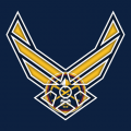 Airforce Denver Nuggets Logo Sticker Heat Transfer