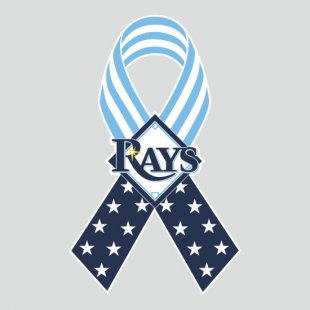 Tampa Bay Rays Ribbon American Flag logo decal sticker