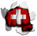 Fist Switzerland Flag Logo decal sticker