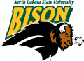 North Dakota State Bison 2005-2011 Alternate Logo 01 Sticker Heat Transfer