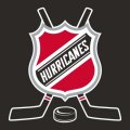 Hockey Carolina Hurricanes Logo decal sticker