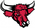 Nebraska-Omaha Mavericks 2004-2010 Secondary Logo decal sticker