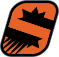 Phoenix Suns 2013-2014 Pres Alternate Logo decal sticker
