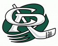 Cedar Rapids RoughRiders 1999 00-2011 12 Alternate Logo decal sticker
