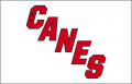 Carolina Hurricanes 2019 20-Pres Jersey Logo Sticker Heat Transfer