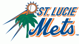 St. Lucie Mets 2005-2012 Primary Logo decal sticker