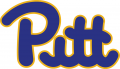 Pittsburgh Panthers 1973-1996 Wordmark Logo Sticker Heat Transfer