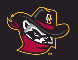 Quad Cities River Bandits 2008-2010 Cap Logo decal sticker