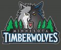 Minnesota Timberwolves Plastic Effect Logo decal sticker
