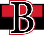 Belleville Senators 2017-Pres Primary Logo Sticker Heat Transfer