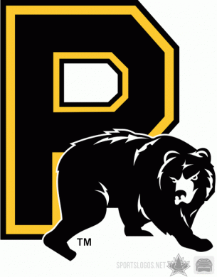 Providence Bruins 2008 09 Alternate Logo Sticker Heat Transfer
