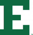 Eastern Michigan Eagles 2013-Pres Primary Logo Sticker Heat Transfer