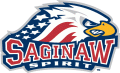 Saginaw Spirit 2002 03-Pres Primary Logo decal sticker