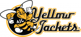 AIC Yellow Jackets 2009-Pres Alternate Logo 07 decal sticker