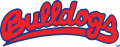 Fresno State Bulldogs 2000-Pres Wordmark Logo Sticker Heat Transfer