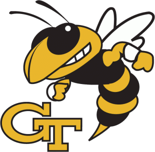 Georgia Tech Yellow Jackets 1991-Pres Primary Logo Sticker Heat Transfer
