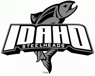 Idaho Steelheads 2008 09-Pres Alternate Logo Sticker Heat Transfer