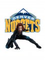 Denver Nuggets Black Widow Logo Sticker Heat Transfer