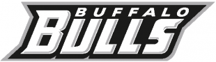 Buffalo Bulls 2007-Pres Wordmark Logo Sticker Heat Transfer