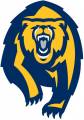 California Golden Bears 2013-Pres Alternate Logo decal sticker