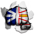 Fist Newfoundland Labrador Flag Logo Sticker Heat Transfer