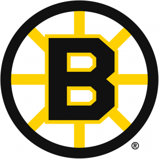 Boston Bruins 1949 50-1994 95 Primary Logo Sticker Heat Transfer