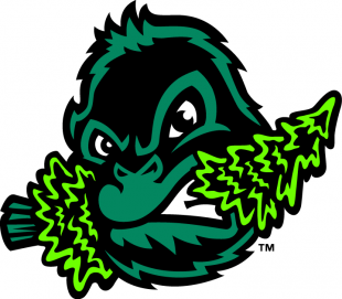 Eugene Emeralds 2013-Pres Alternate Logo Sticker Heat Transfer