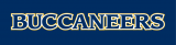 ETSU Buccaneers 2014-Pres Wordmark Logo Sticker Heat Transfer