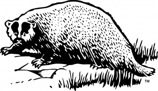 Wisconsin Badgers 1930-1935 Primary Logo Sticker Heat Transfer