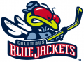 Columbus Blue Jackets 2000 01-2003 04 Alternate Logo decal sticker