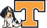 Tennessee Volunteers 2005-Pres Misc Logo decal sticker