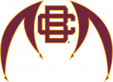 Bethune-Cookman Wildcats 2010-2015 Alternate Logo decal sticker