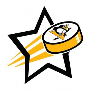 Pittsburgh Penguins Hockey Goal Star logo Sticker Heat Transfer