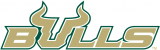South Florida Bulls 2003-Pres Wordmark Logo 02 Sticker Heat Transfer
