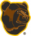 Boston Bruins 1995 96-2006 07 Alternate Logo decal sticker