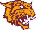 Bethune-Cookman Wildcats 2000-2015 Alternate Logo Sticker Heat Transfer