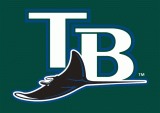 Tampa Bay Rays 2005-2007 Wordmark Logo decal sticker