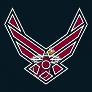 Airforce Miami Heat Logo decal sticker