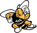 AIC Yellow Jackets 2001-2008 Primary Logo decal sticker