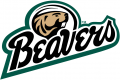 Bemidji State Beavers 2004-Pres Alternate Logo 01 Sticker Heat Transfer